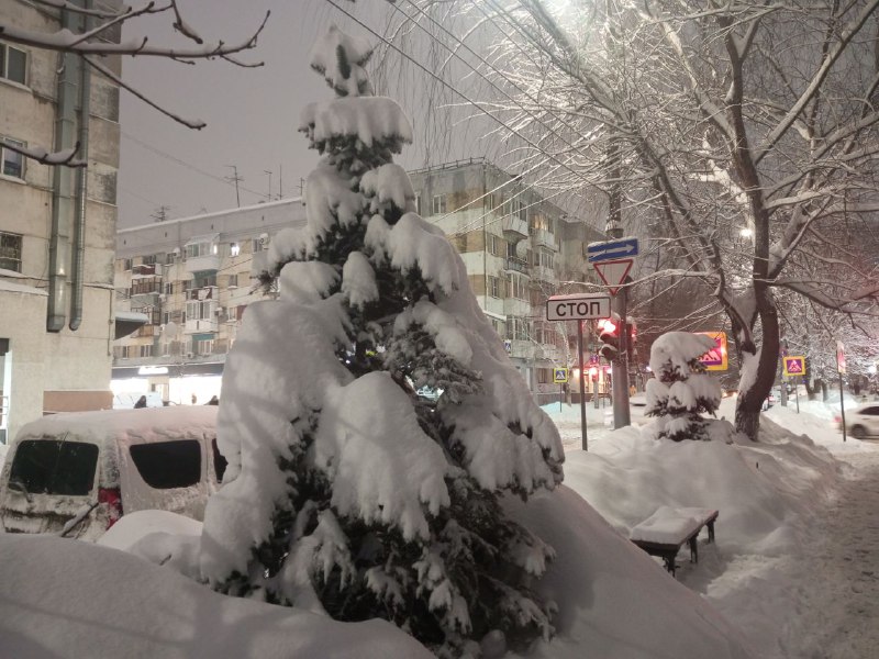 Мокрый снег с ветром ожидают саратовцев в последнюю пятницу января Мокрый снег с ветром ожидают саратовцев в последнюю пятницу января