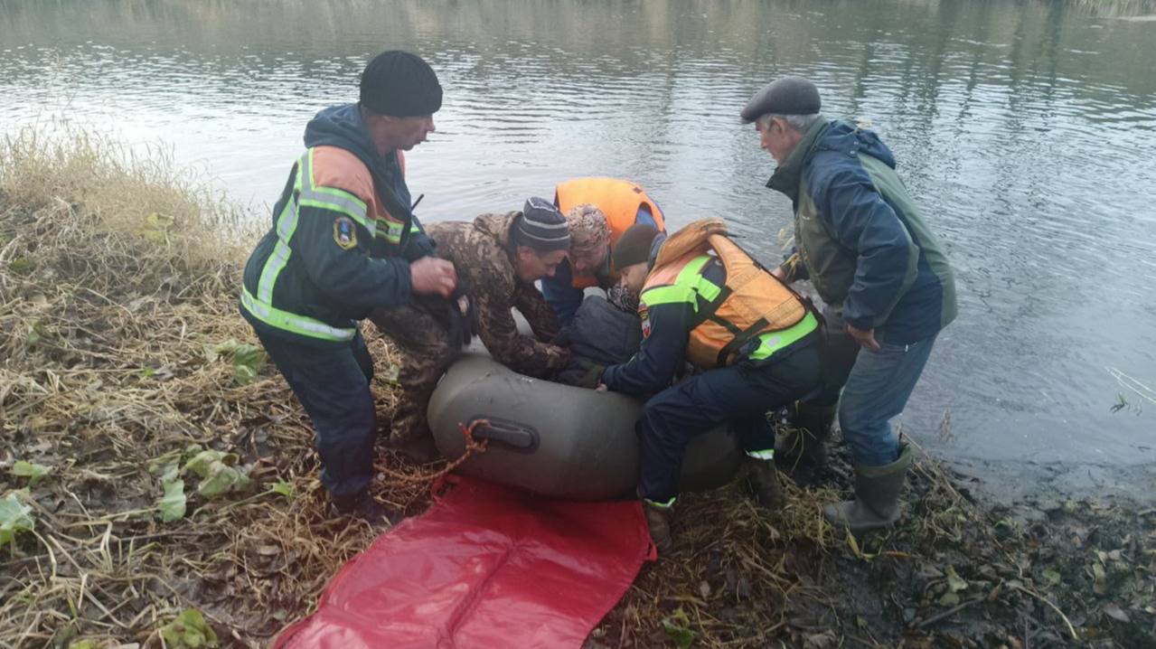 В Аткарском районе 84-летняя жительница отправилась за грибами и провела ночь в лесу В Аткарском районе 84-летняя жительница отправилась за грибами и провела ночь в лесу