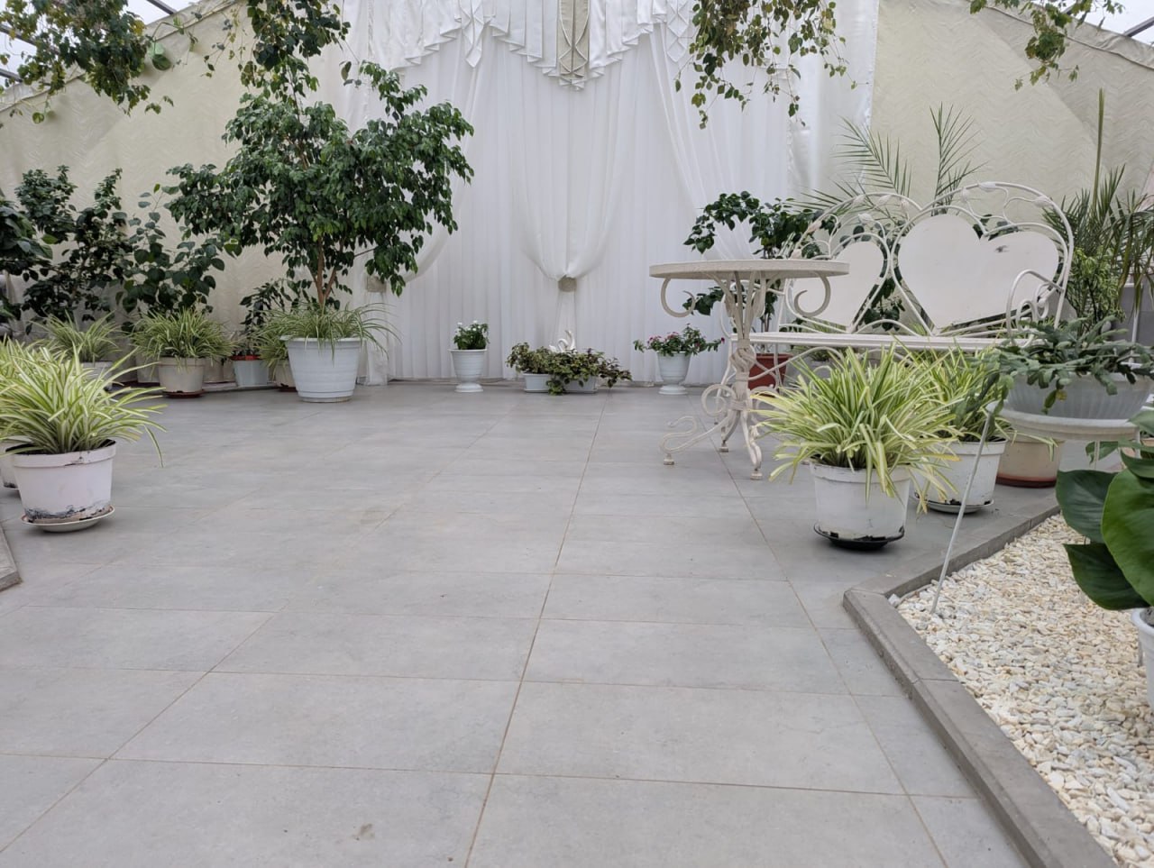 В Вольске открылась городская оранжерея