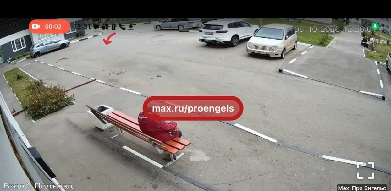 В Энгельсе с 8 этажа выбросили новорожденных котят В Энгельсе с 8 этажа выбросили новорожденных котят