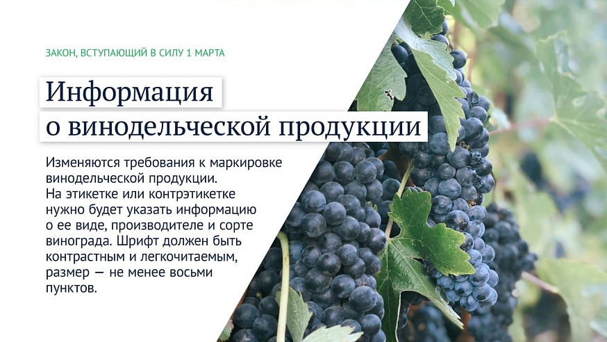 Информация о винодельческой продукции