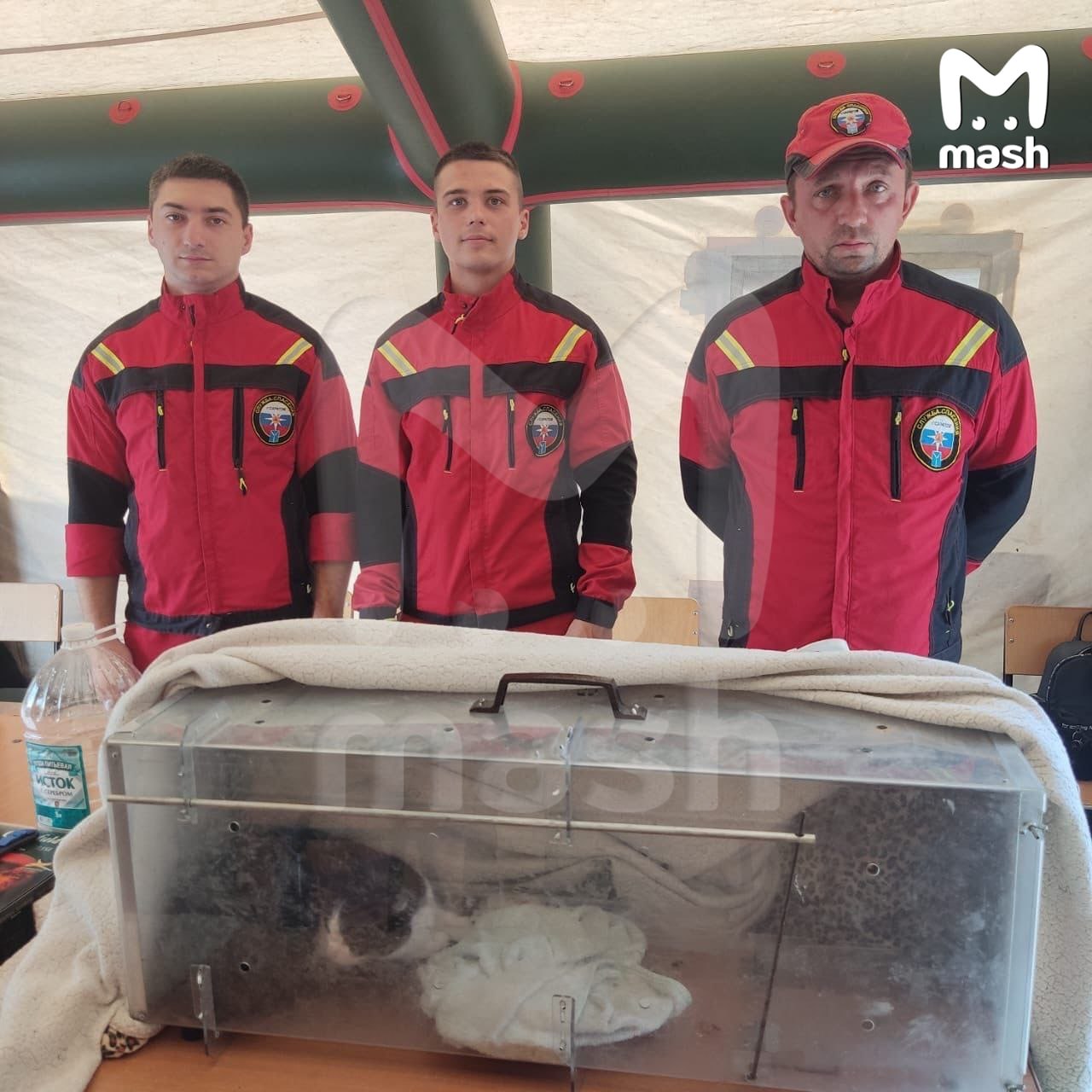 Спасение Масяни