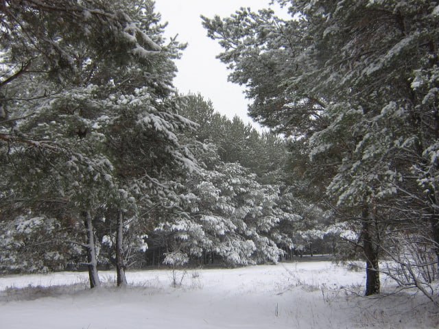 Морозы придут на смену снегопадам в первый день февраля в Саратовской области