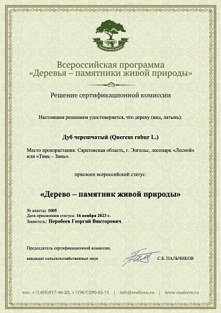 дуб