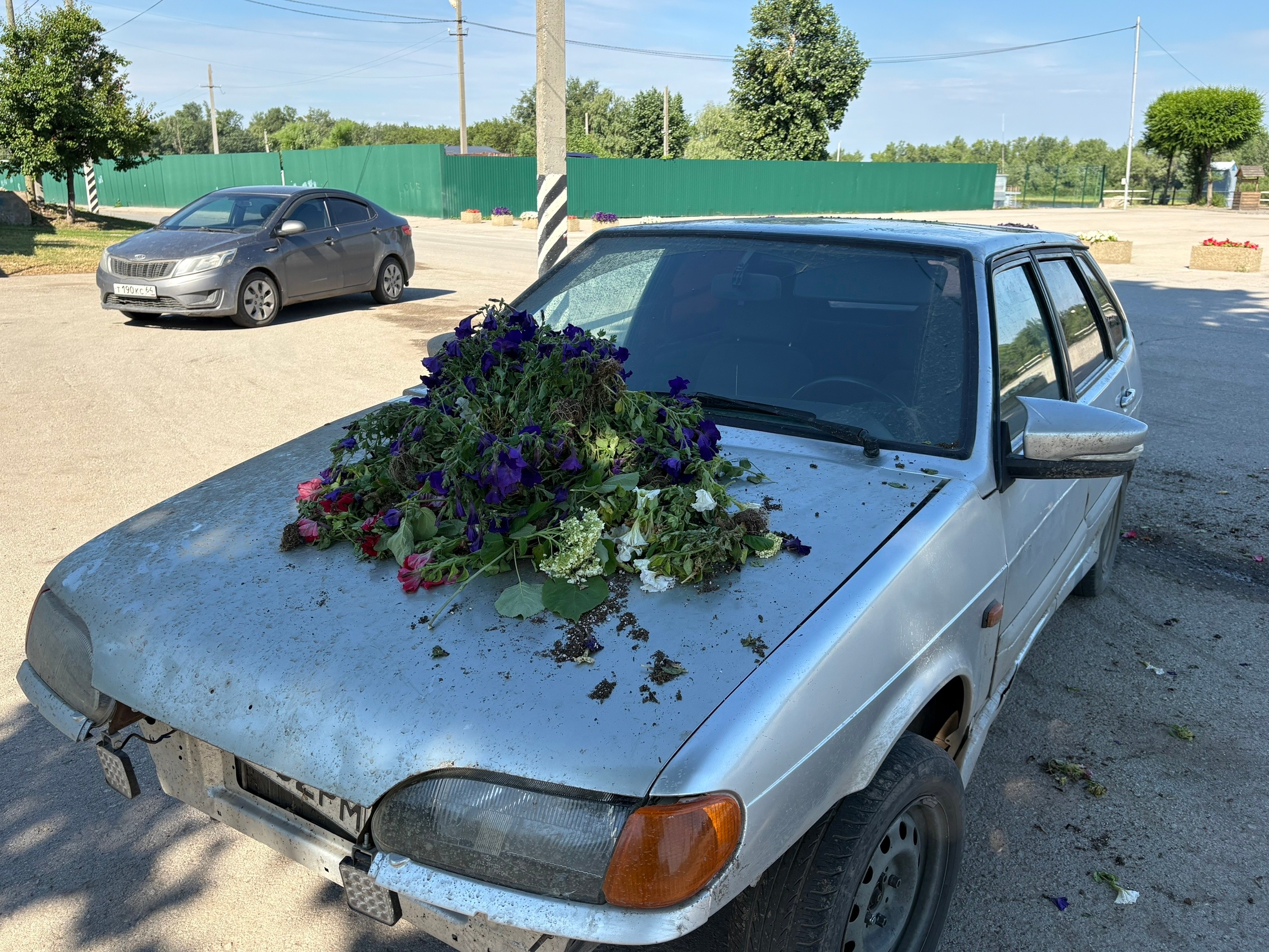 В саратовском парке вандалы вырвали из клумб цветы и забросали ими машину В саратовском парке вандалы вырвали из клумб цветы и забросали ими машину