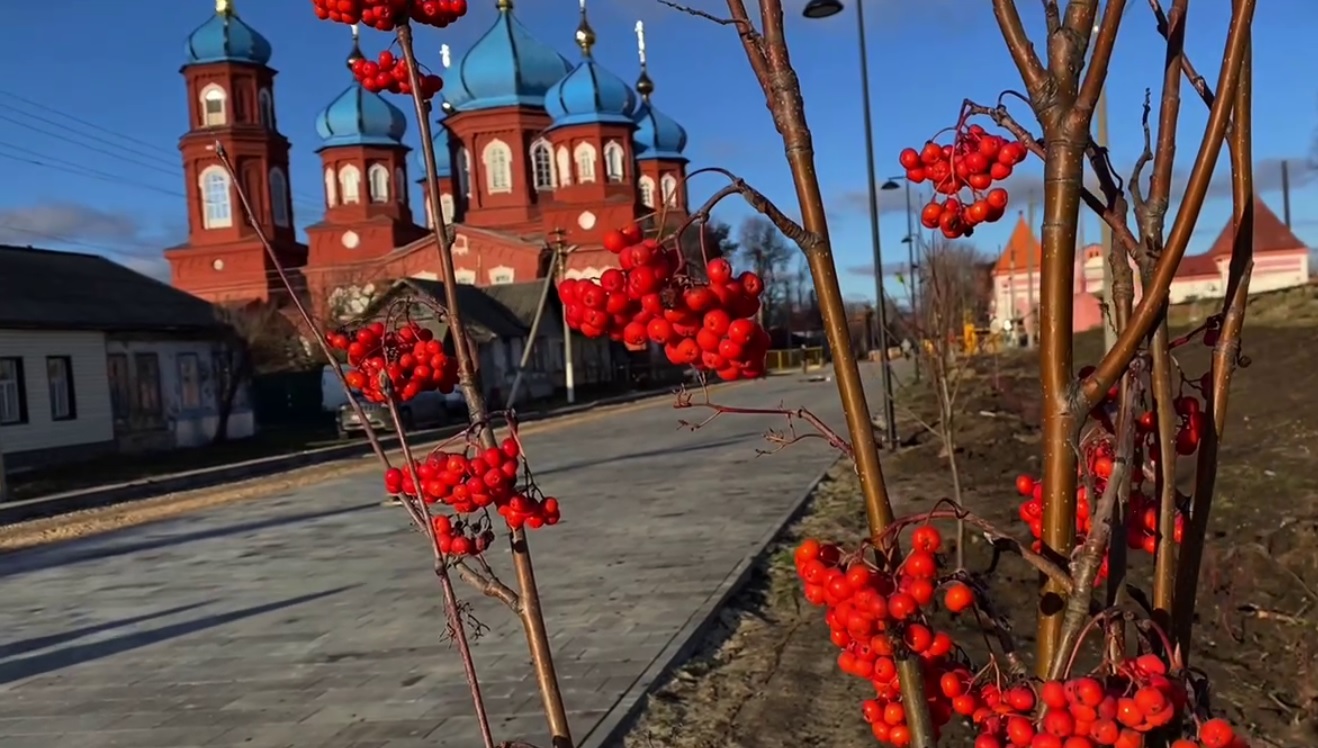 Рябиновая аллея и розарий украсили бульвар саратовского райцентра