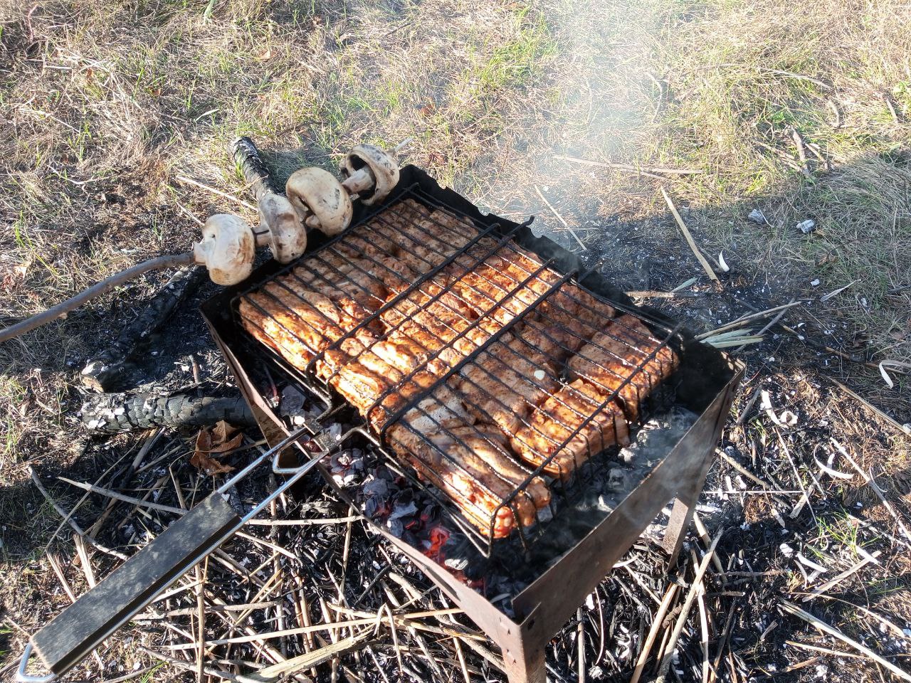 Саратовцам напомнили о штрафах за шашлыки на дачах