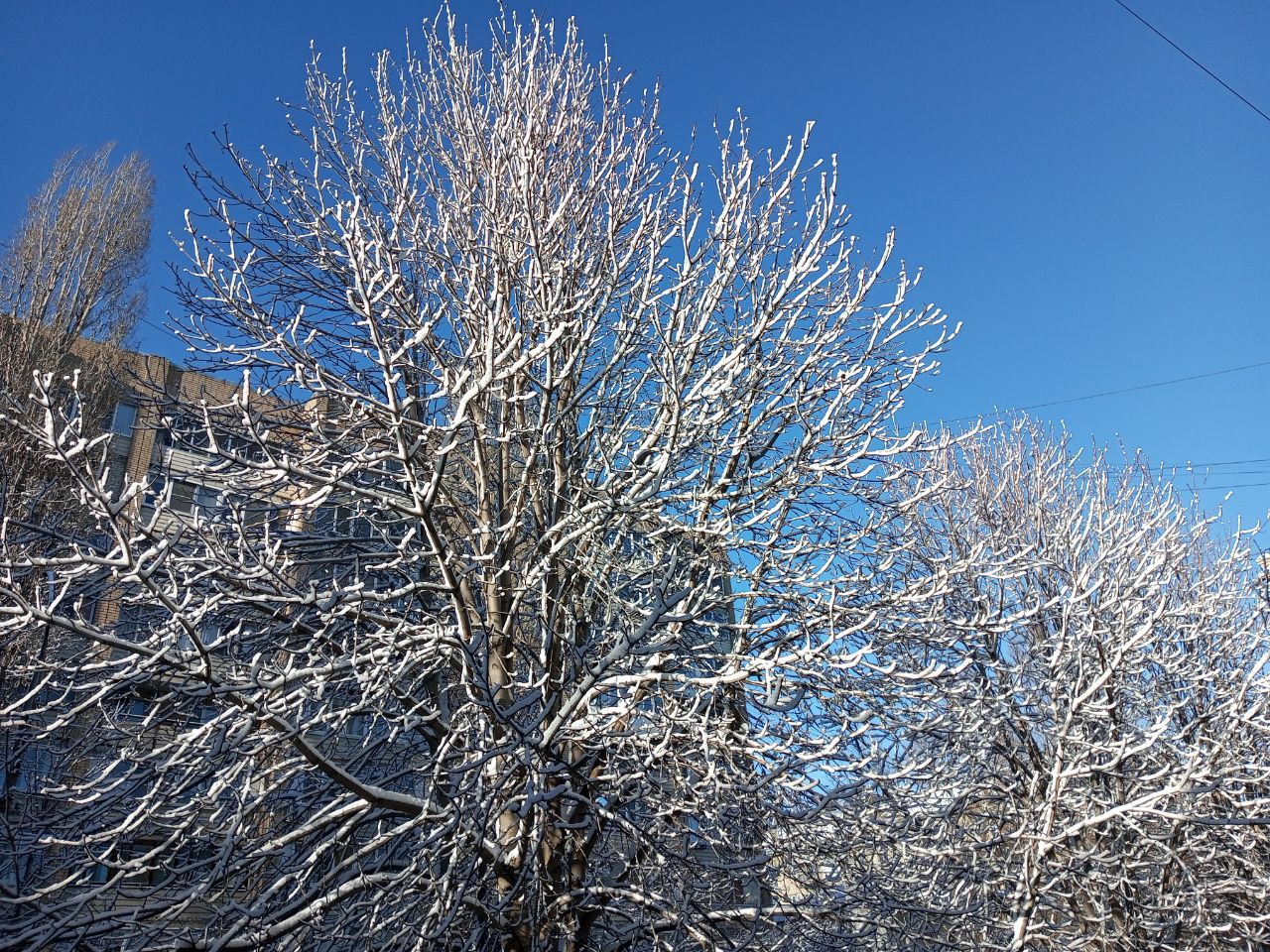 Мороз, ветер и небольшой снег ждут саратовцев в субботу