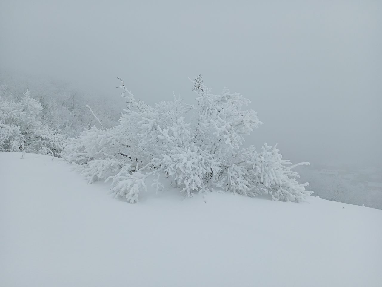 Саратовцам на Рождество обещают немного мокрого снега