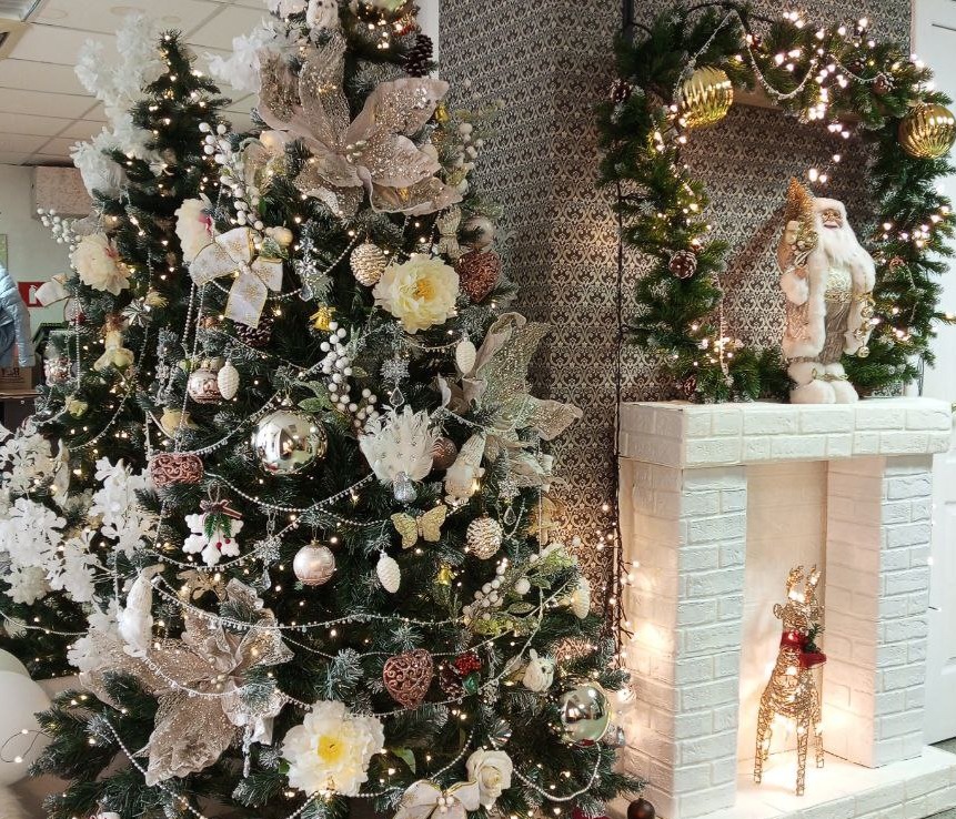 Саратовцам предлагают брать новогодние елки напрокат