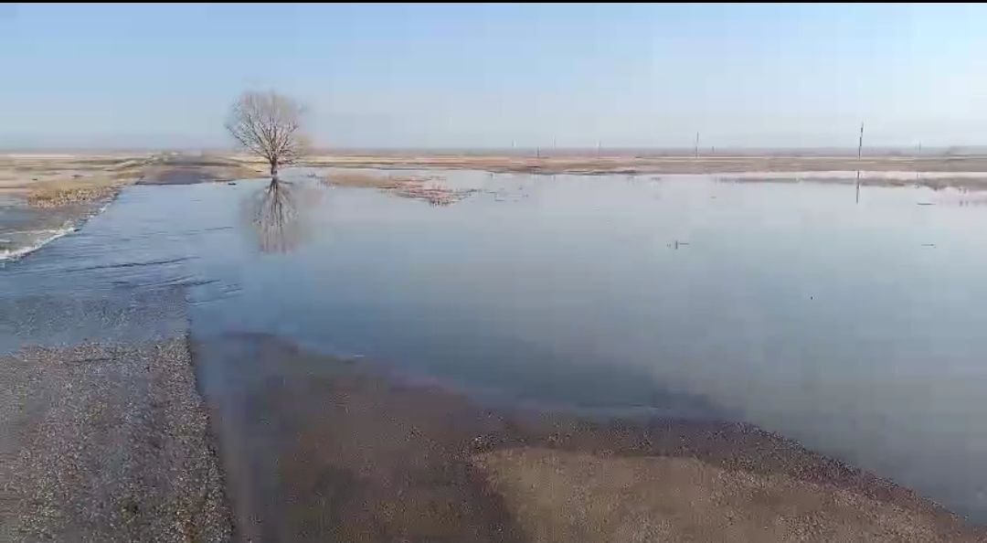 Паводок 2025: на некоторых реках Саратовской области вода за сутки поднялась на 67 сантиметров