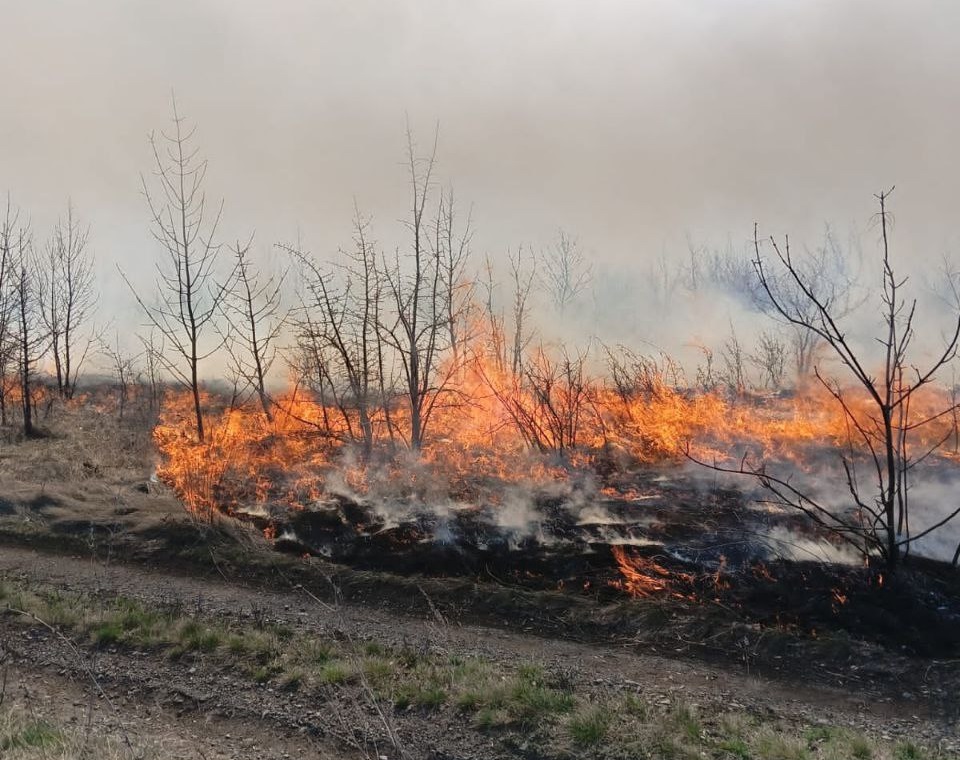 В Саратовской области пожарные тушили 70 ландшафтных пожаров
