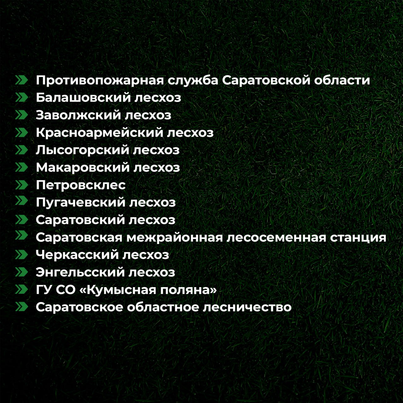 Премия в 20 тысяч рублей саратовским лесхозам