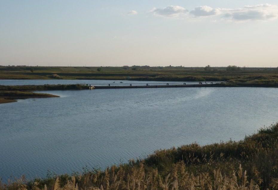 Ещё в трёх засушливых районах Саратовской области закачали воду в пруды