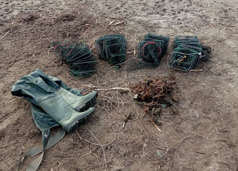 Саратовец поймал 48 раков и попал под статью