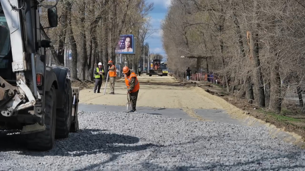 В Саратове не планируются компенсационные высадки взамен деревьев, спиленных при реконструкции трамвая №3