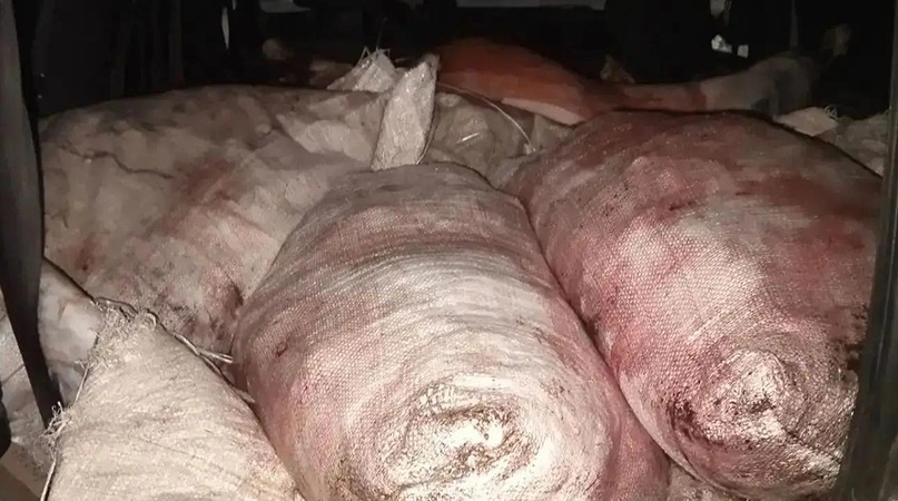 На саратовской трассе задержали грузовик с подозрительными тушами баранов На саратовской трассе задержали грузовик с подозрительными тушами баранов