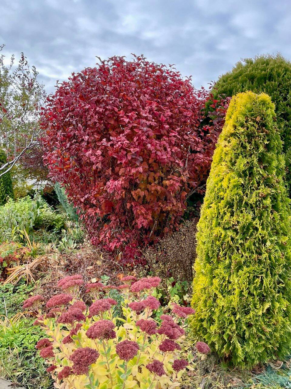 Монастырь в Алексеевке 05 11 2025 5