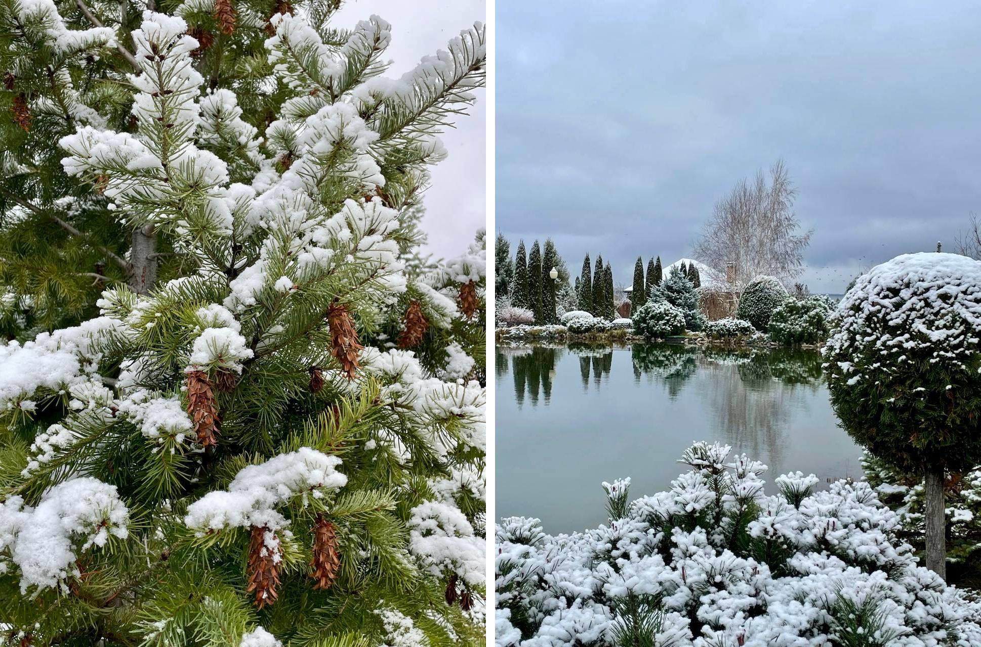 Первый снег в Алексеевке 2