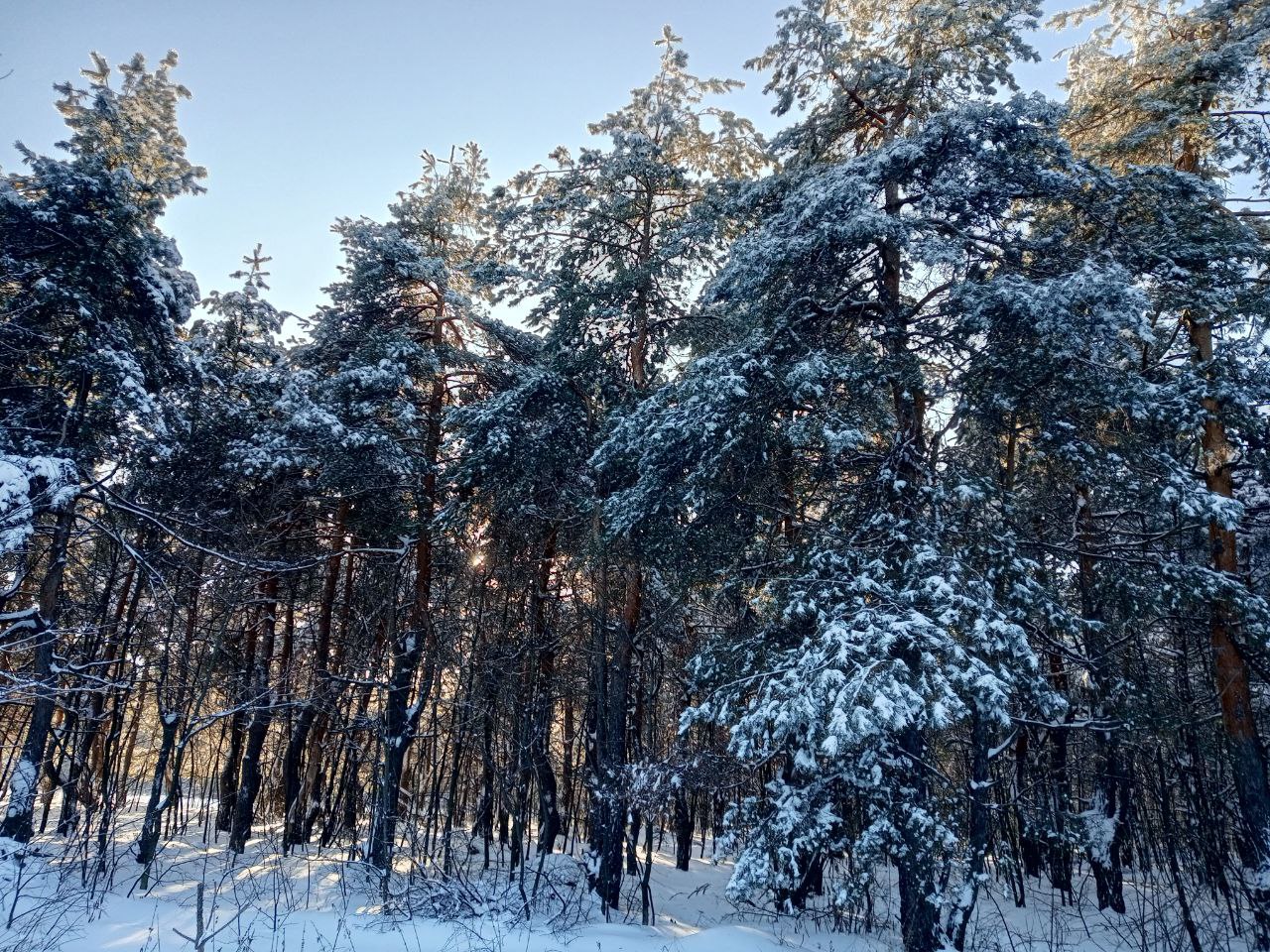 Небольшой снег прогнозируется в Саратовской области во вторник