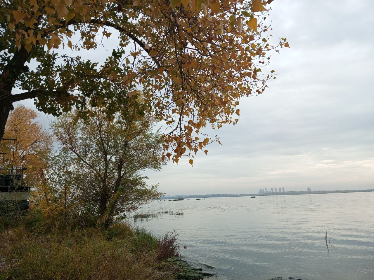 Саратовцев ждет прохладный четверг без осадков