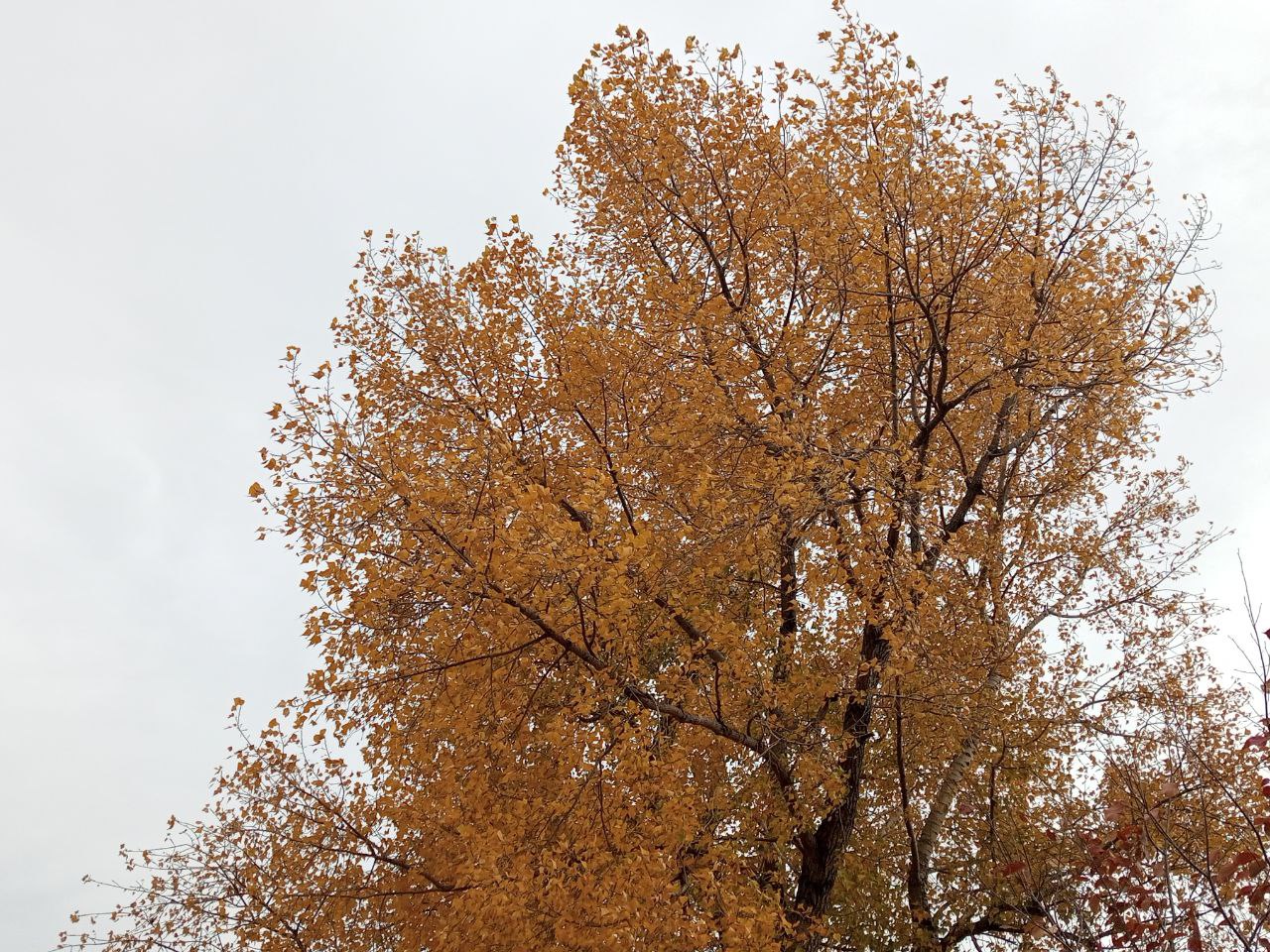 Прохладно и ветрено будет в Саратовской области во вторник