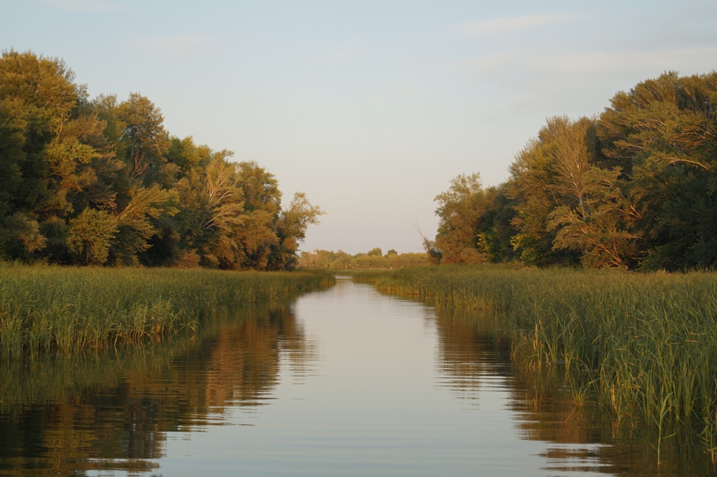 Суббота в Саратове будет пасмурной и сухой