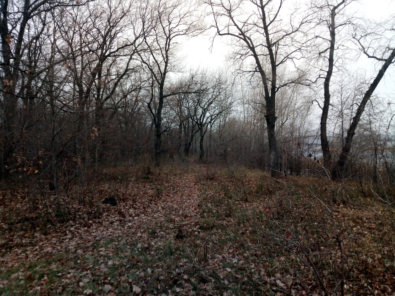 Без дождей пройдет воскресенье в Саратовской области Без дождей пройдет воскресенье в Саратовской области