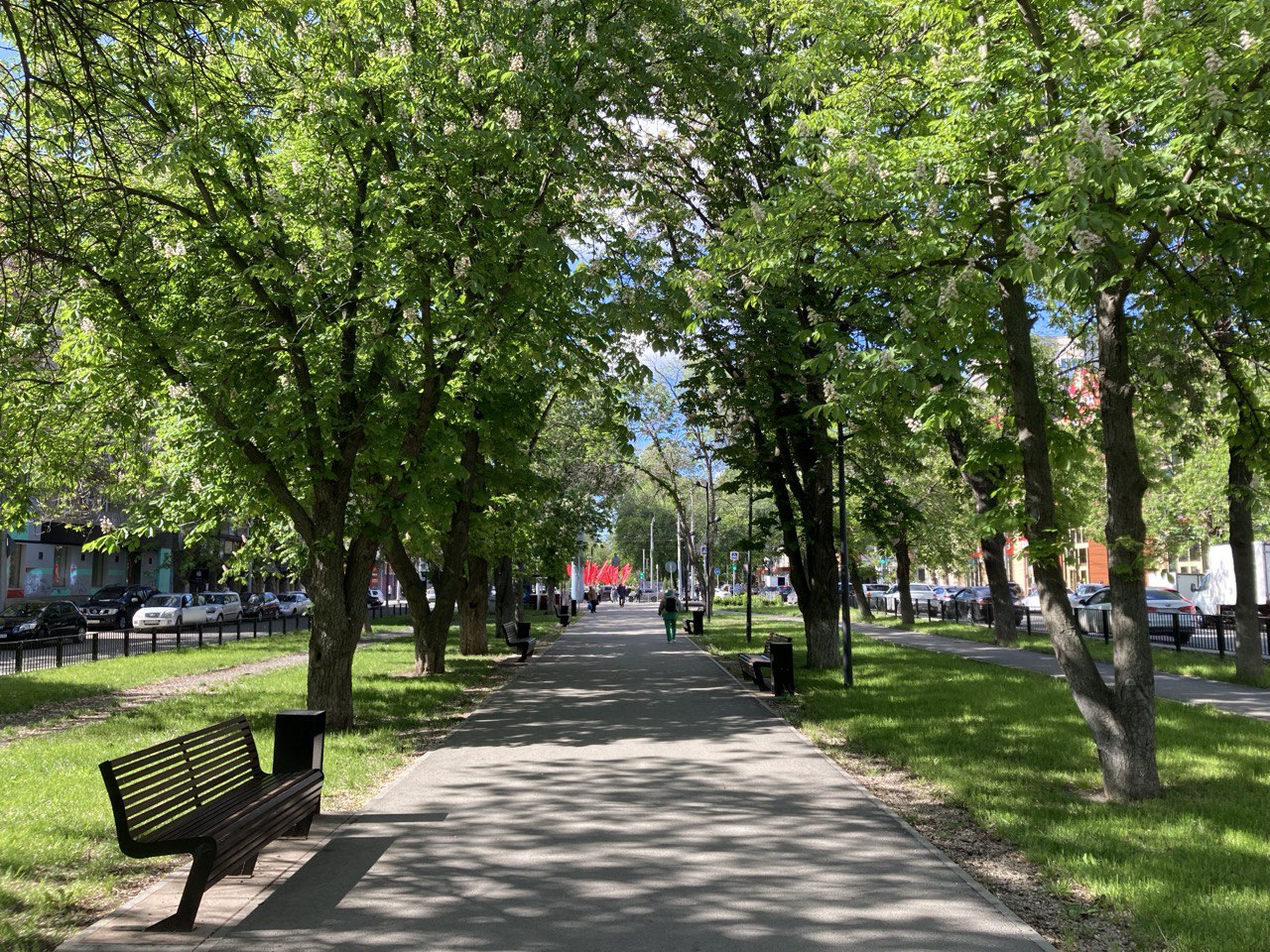 Саратовцам рассказали, где в городе появятся новые парки и скверы