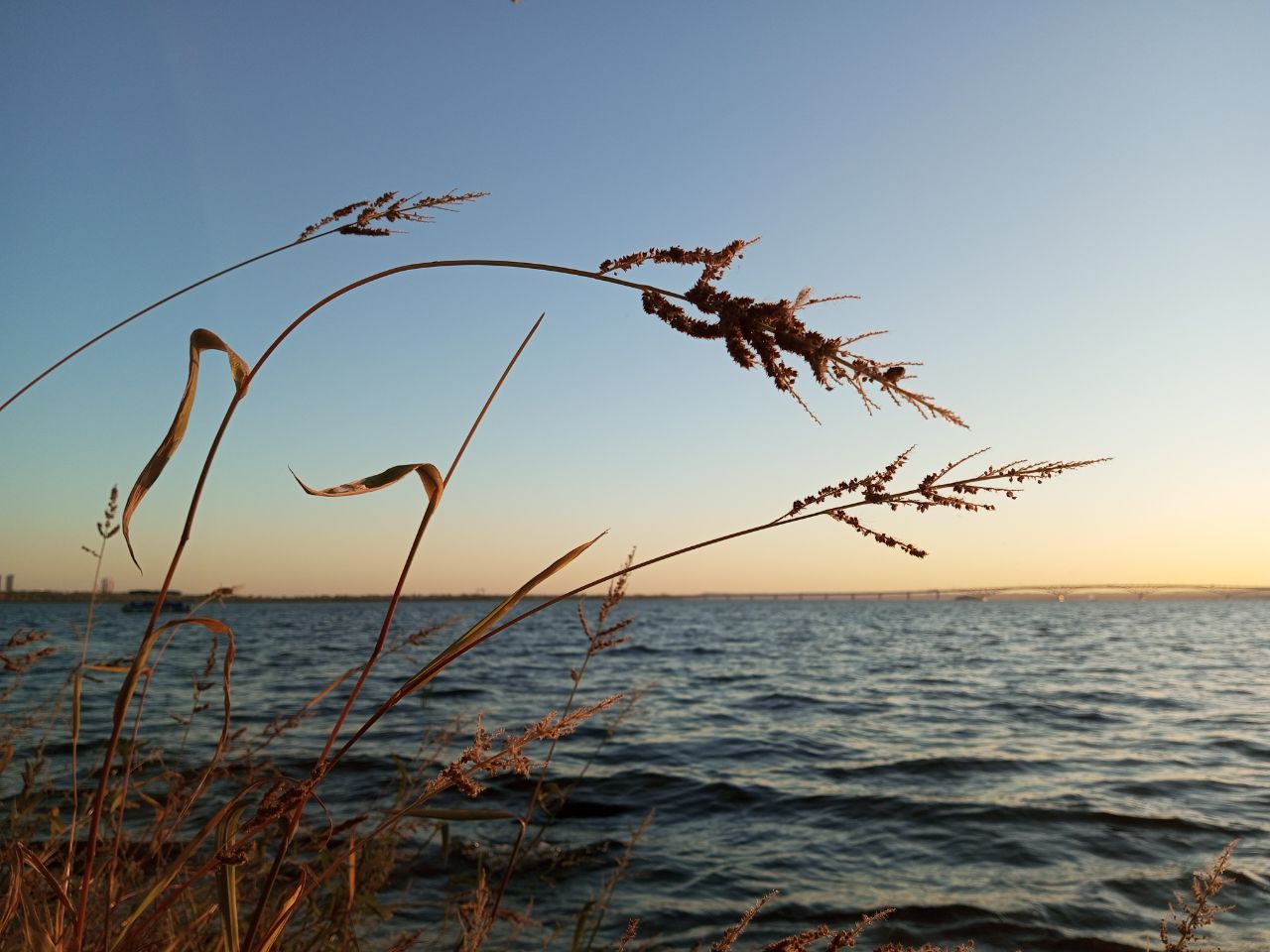 Суббота в середине ноября порадует саратовцев теплой погодой без осадков