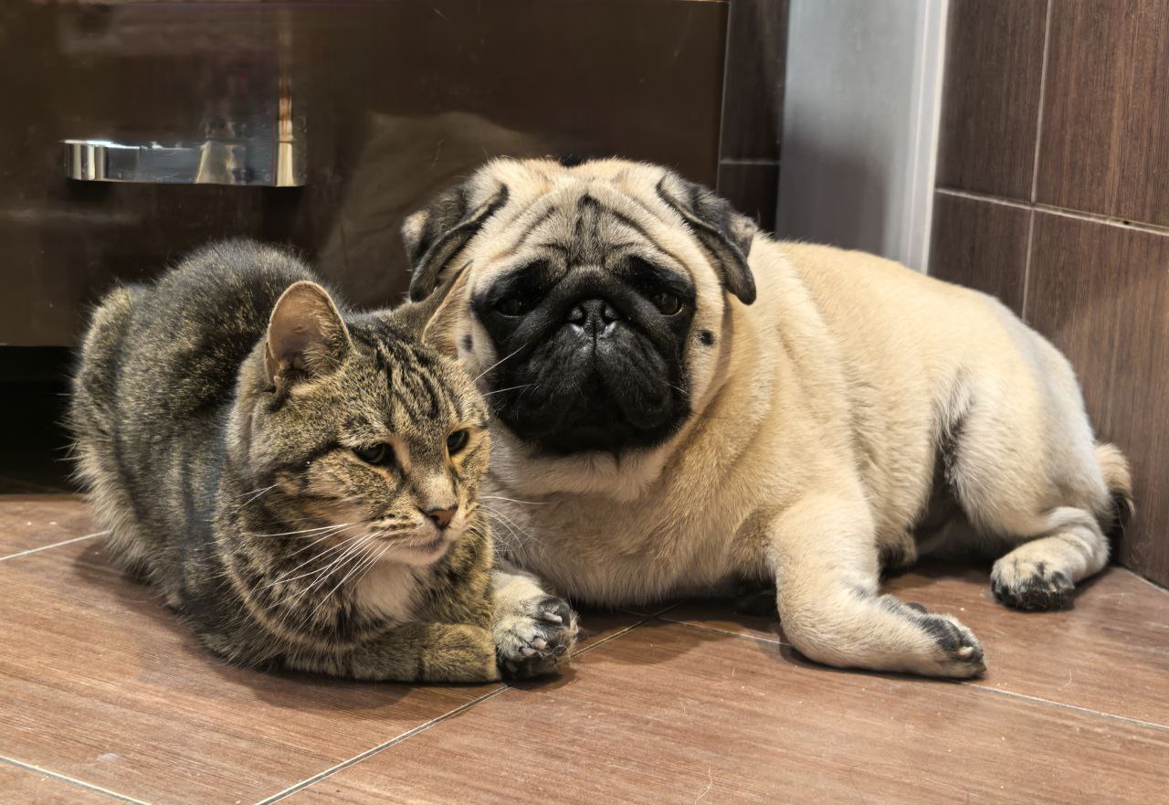 Небольшой дождь и туман обещают саратовцам в последний рабочий день Небольшой дождь и туман обещают саратовцам в последний рабочий день