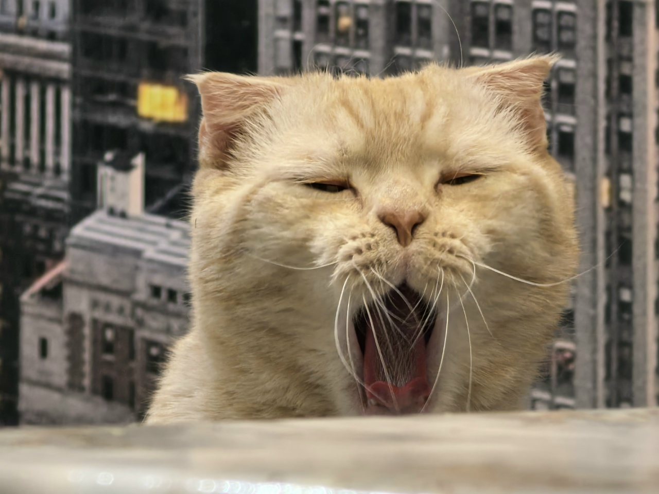 Пятница согреет саратовцев теплой погодой