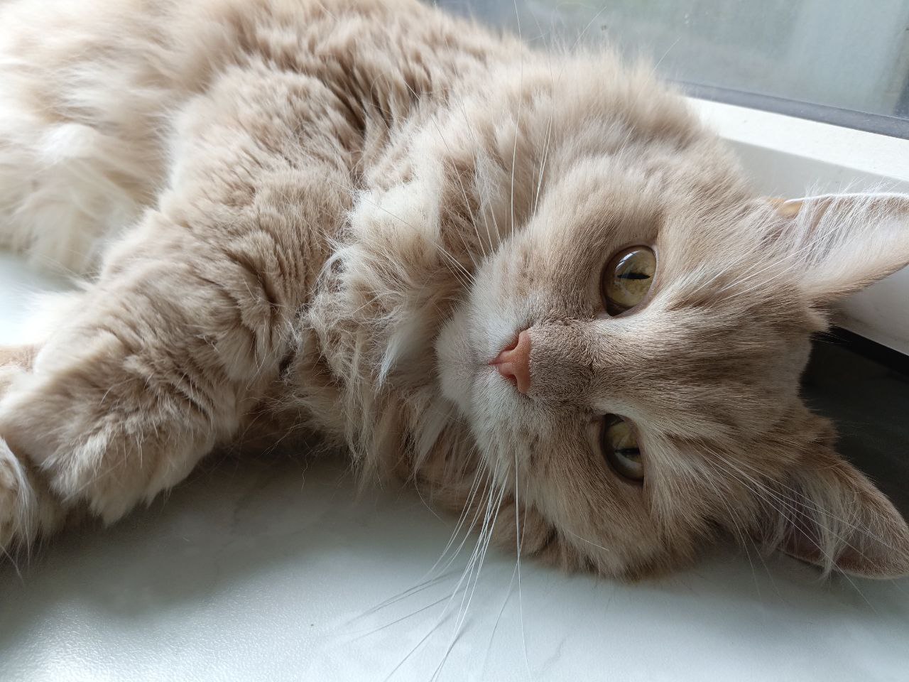 Снег с дождем ждут саратовцев в пятницу Снег с дождем ждут саратовцев в пятницу