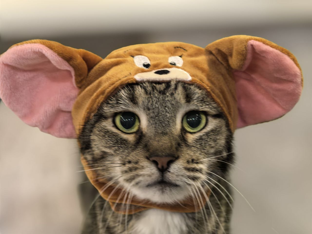 В субботу в Саратовской области слегка потеплеет В субботу в Саратовской области слегка потеплеет