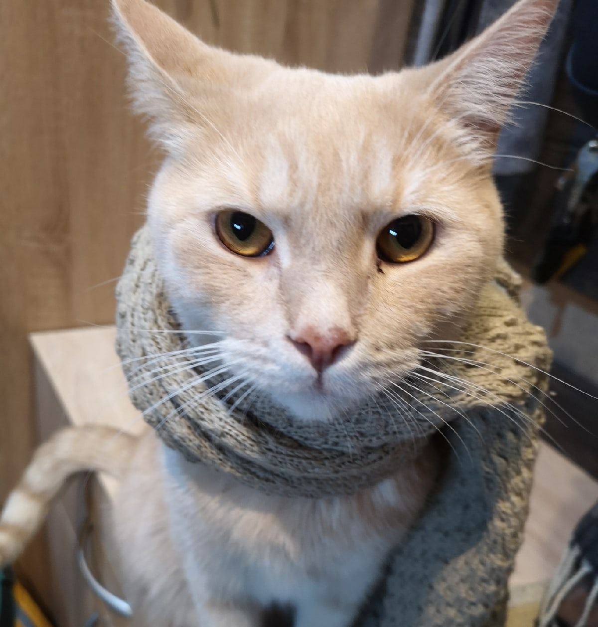 Ледяной дождь, гололедицу и ветер обещают саратовцам 9 декабря Ледяной дождь, гололедицу и ветер обещают саратовцам 9 декабря