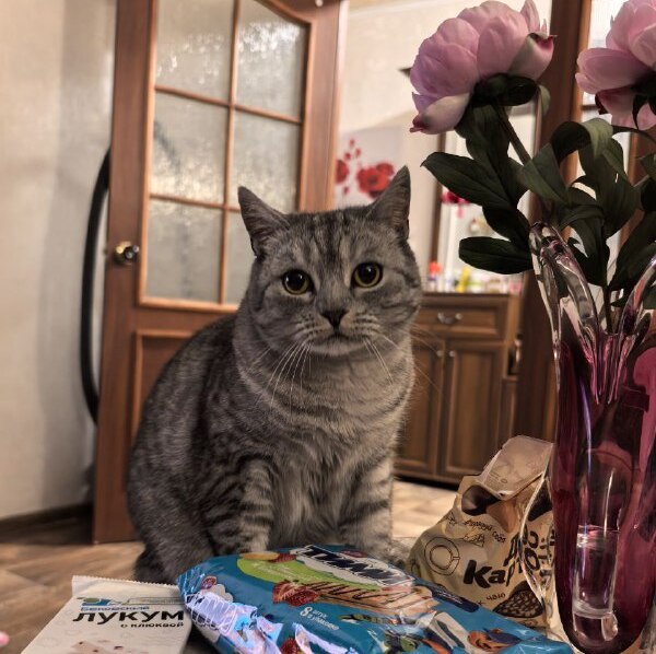 Первый день весны принесет саратовцам потепление со снегом Первый день весны принесет саратовцам потепление со снегом