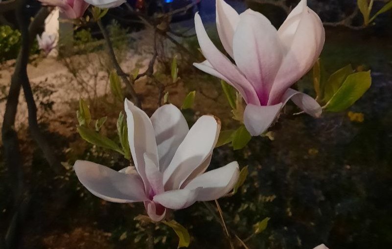 Долгожданное потепление придет в Саратовскую область 15 апреля