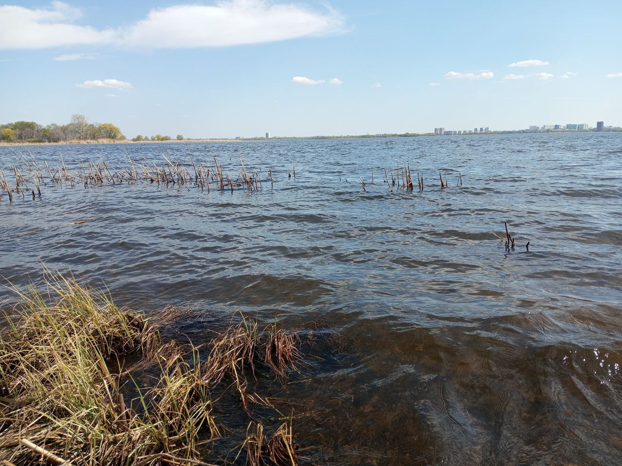 Саратовские чиновники отчитались о повышении уровня воды в Волге на 8 сантиметров