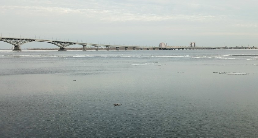 Погода в Саратовской области бьет рекорд по теплу в последние дни марта