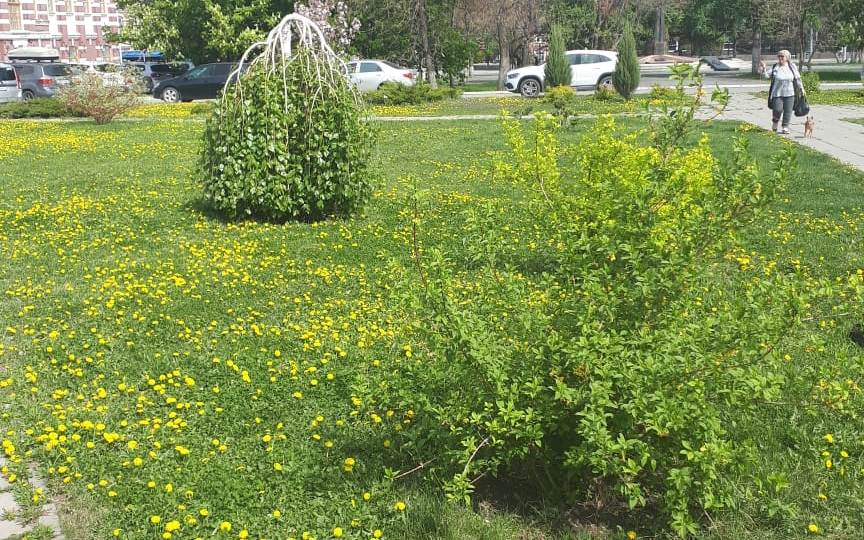 В четверг саратовцам синоптики обещают до +33 градусов
