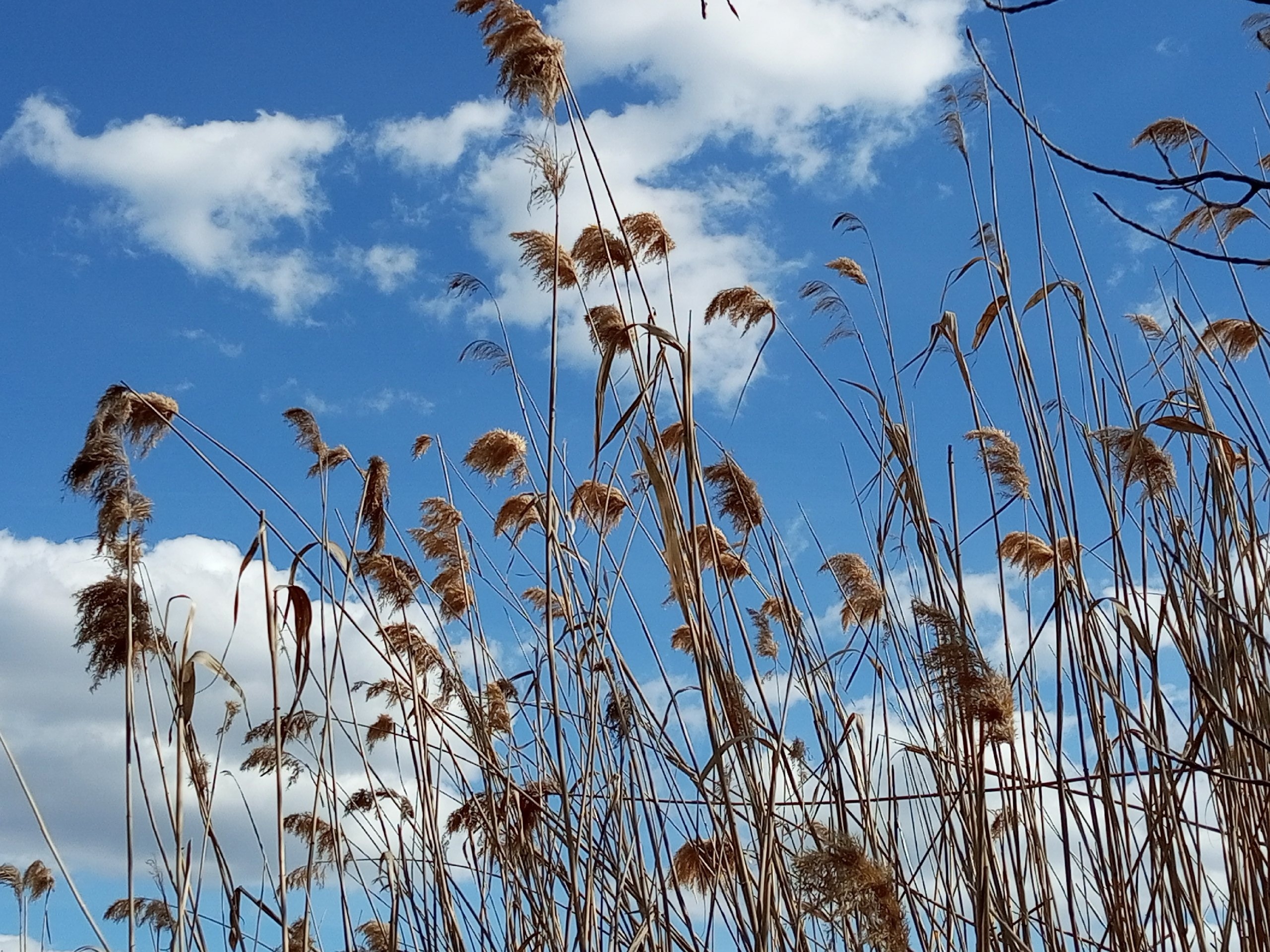 В первый день октября в Саратовской области потеплеет до +17 градусов