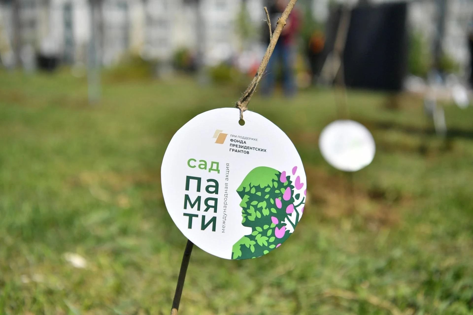 Более 6 миллионов деревьев высадили в Саратовской области Более 6 миллионов деревьев высадили в Саратовской области