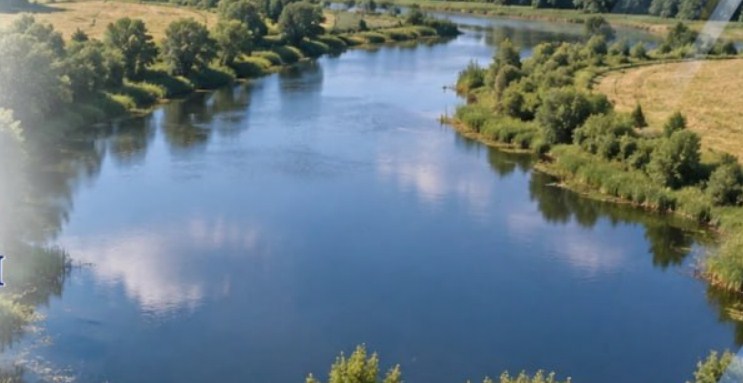 Саратовцу незаконно продали землю с озером под разведение рыбы Саратовцу незаконно продали землю с озером под разведение рыбы