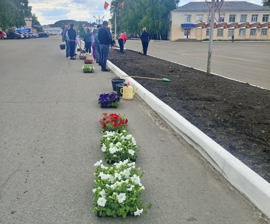 В Балтае высадили петунии 