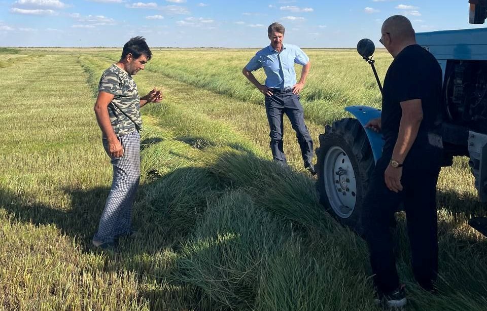 Уборочная кампания 2024 2