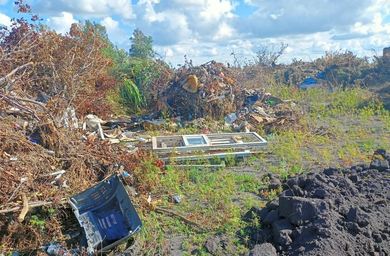 Свалка в Петровске