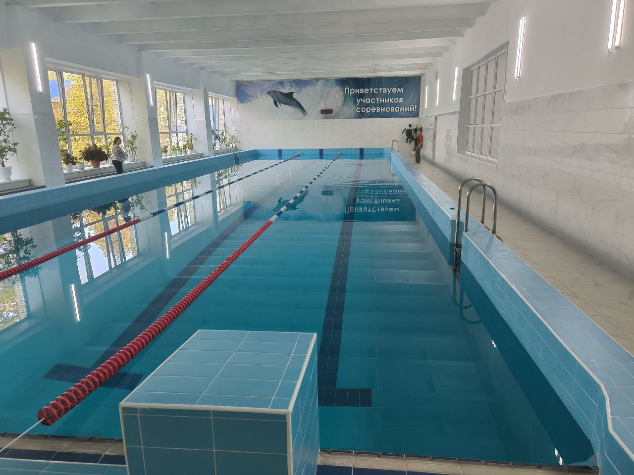 Бассейн Дельфин в Петровске