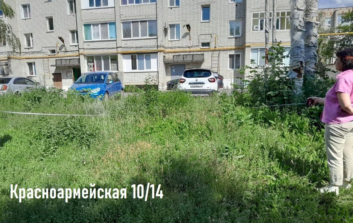 Бурьяны в Петровске на Красноармейской