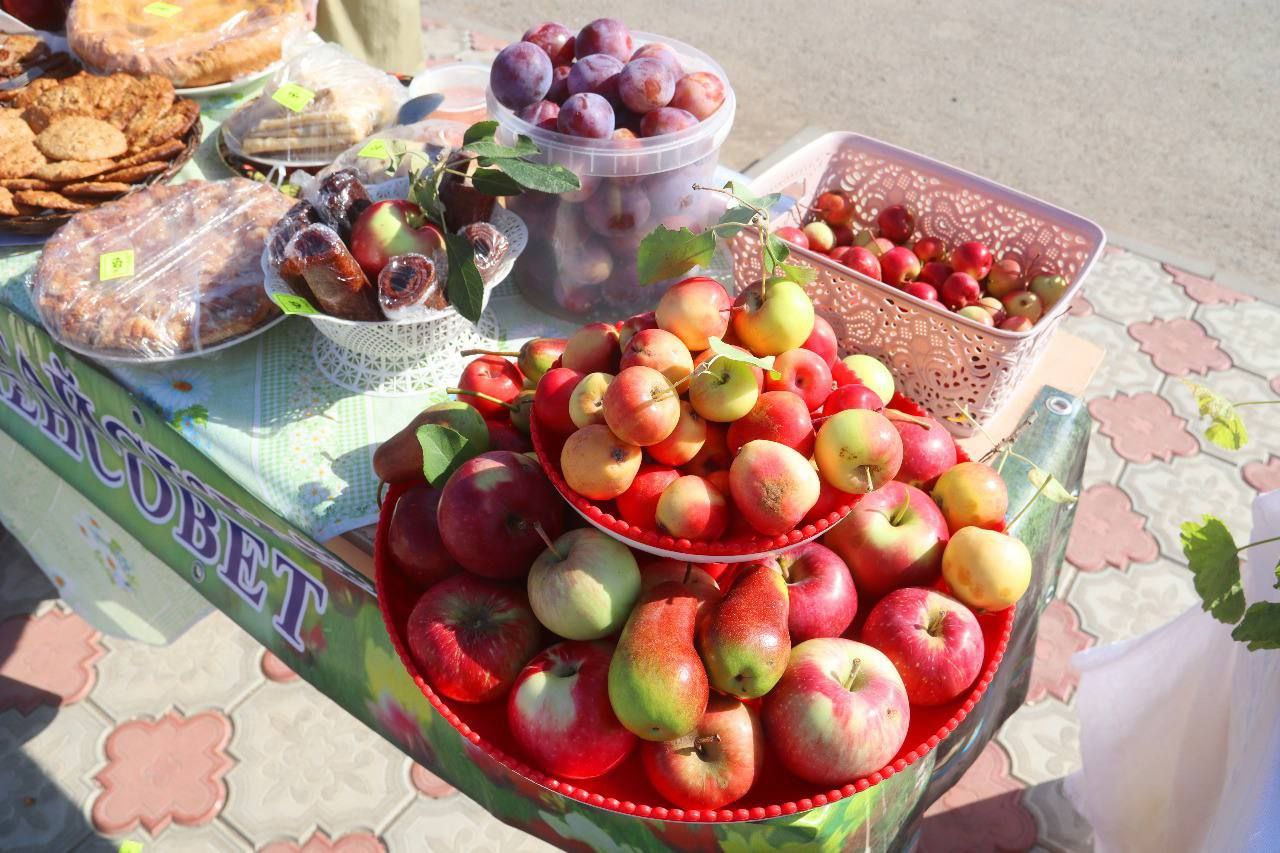 Яблоки Александров Гай