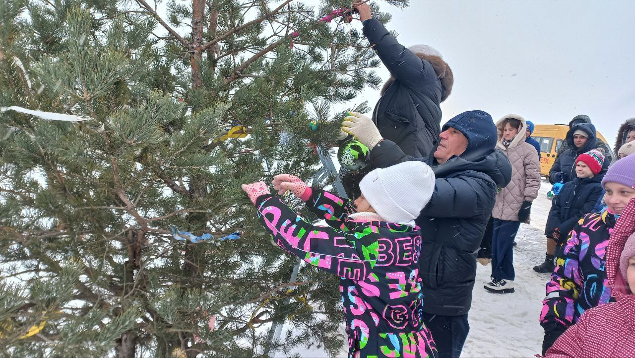 Украшение елки у трассы